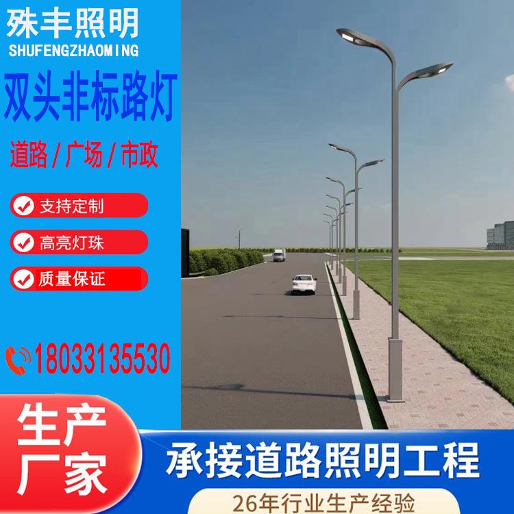 双臂高杆路灯双头太阳能路灯智慧景观庭院灯草坪灯投光灯太阳能灯