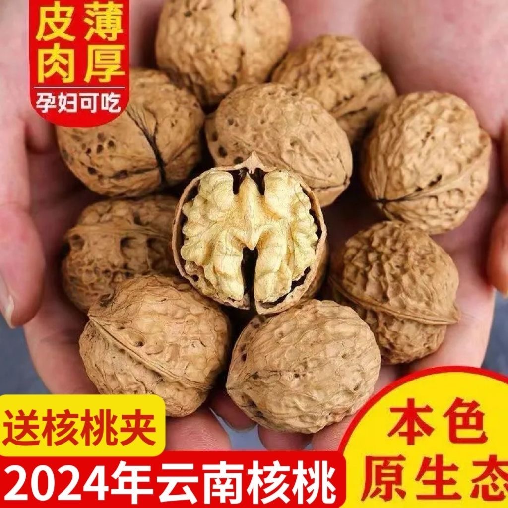 云南纸皮核桃2024新货薄皮核桃仁干果新鲜熟零食特产薄壳坚果5斤