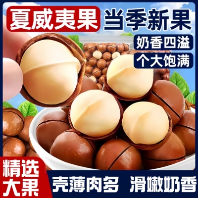 新货夏威夷果坚果奶油味500g