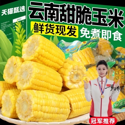 水果玉米开袋即食新鲜玉米段早餐