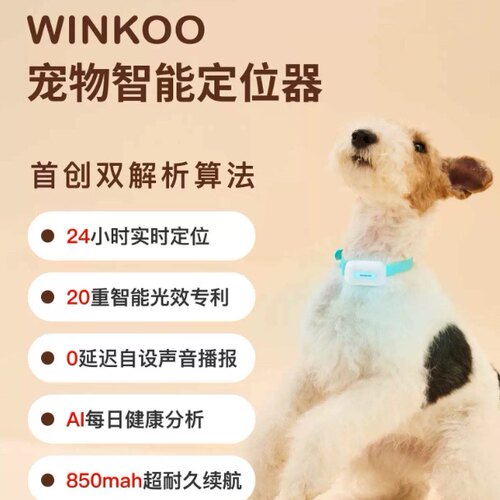 winkoo定位器2026新款现货秒发