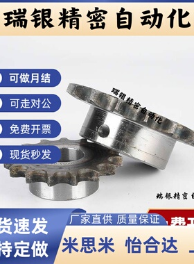 SP40B21-N/S-14/15/16/17/18/19/20/22/24/25/28/30/32/35/40链轮