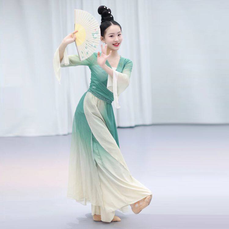 新款古典舞绿萝裙剧目舞演出服醉清波飘逸套装渐变纱衣裙裤中国舞