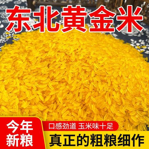 东北黄金米玉米做的粗米杂粮