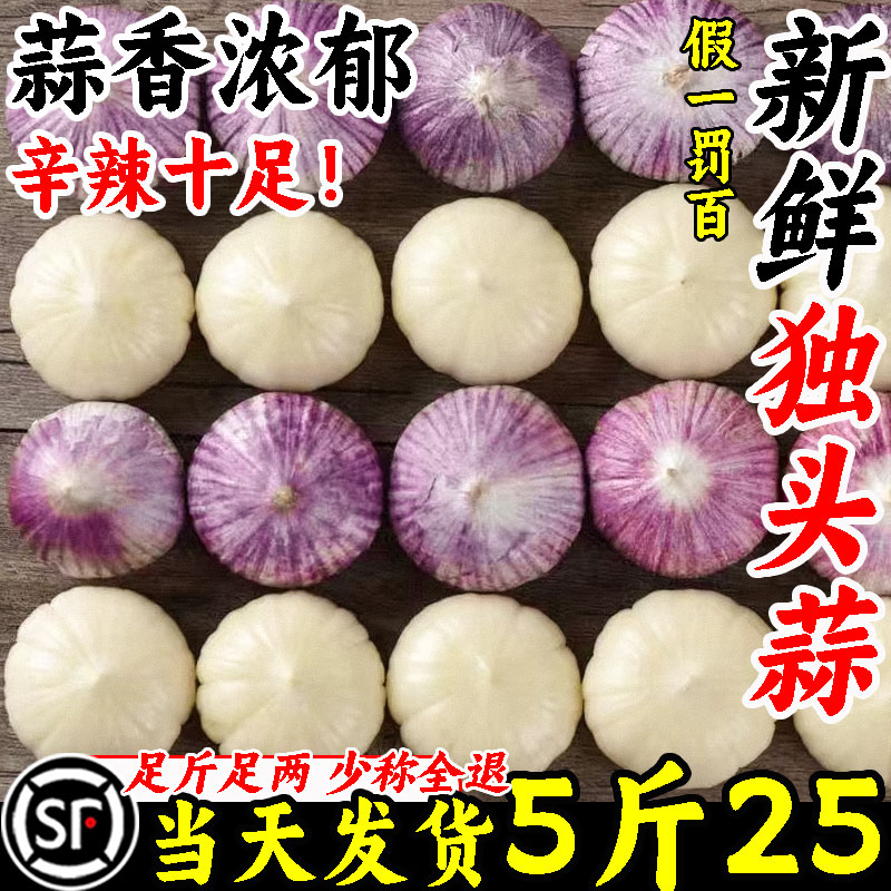 [顺丰包邮]新鲜紫皮独头蒜5斤25
