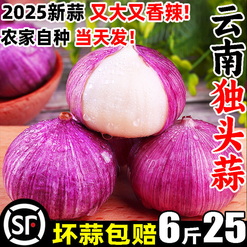 【顺丰】紫皮独头蒜整箱15.8