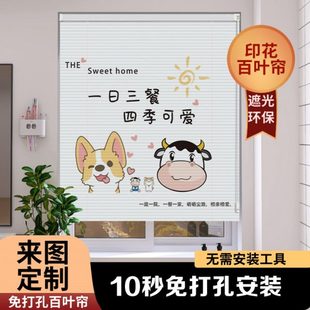 2024新款 升降卷帘窗户百叶窗帘 遮挡门帘免打孔安装 遮光遮阳卷拉式