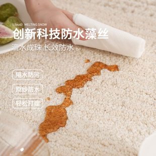 AOVOC 防水卧室床边地垫 地毯客厅奶油风轻奢沙发茶几日式 诧寂新款