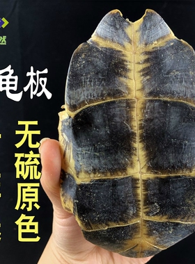 龟板500克g生龟板片龟下甲龟底板非野生醋龟板中药材免费磨龟板粉