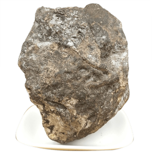 龙涎香1克包邮 龙延香 原料 熏香香料中药材