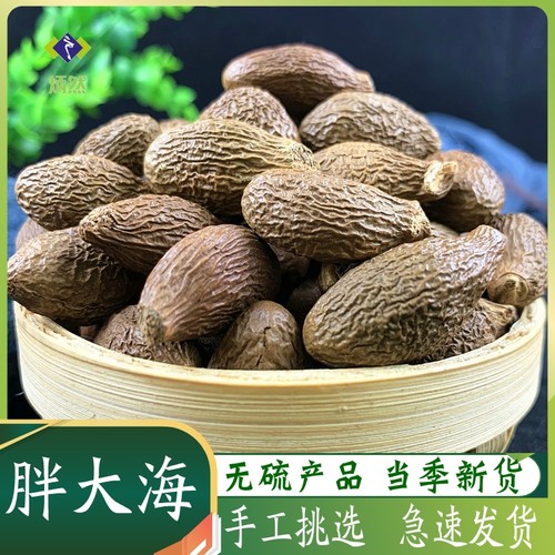 胖大海中药材手选大颗粒