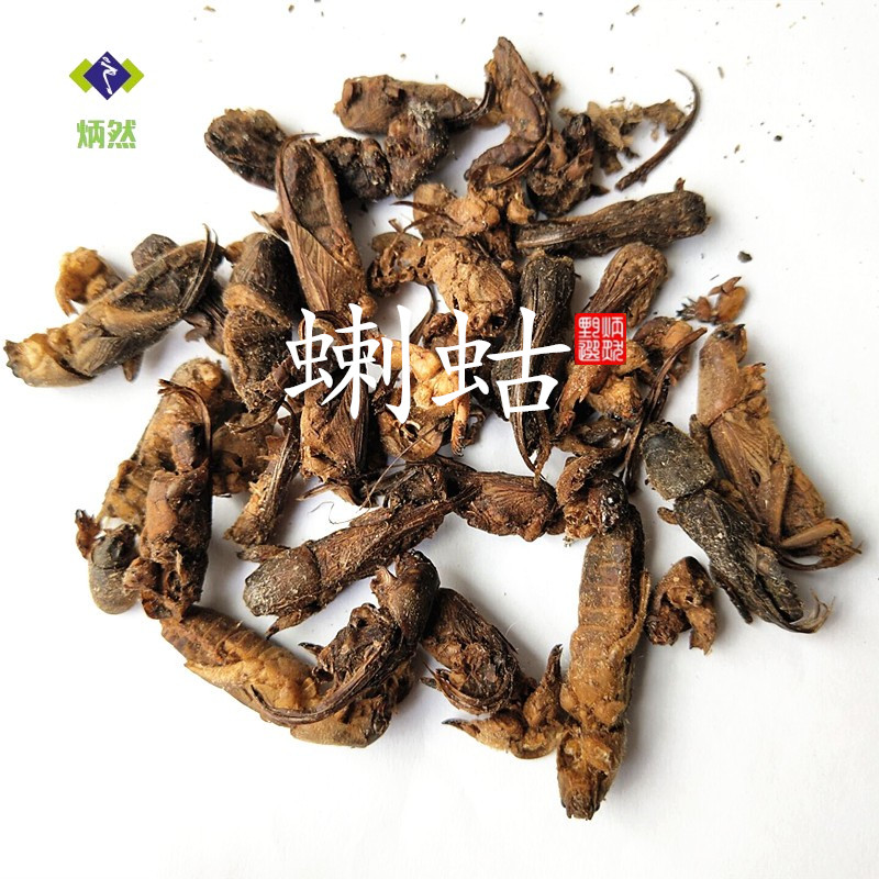 包邮蝲蛄 250克蝼蛄蝼蛄干拉蛄土狗中药材蝲蛄-封面