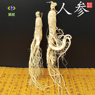 泡酒 东北白参园参生晒参整支 长白山人参个50g 煲汤中药材 包邮