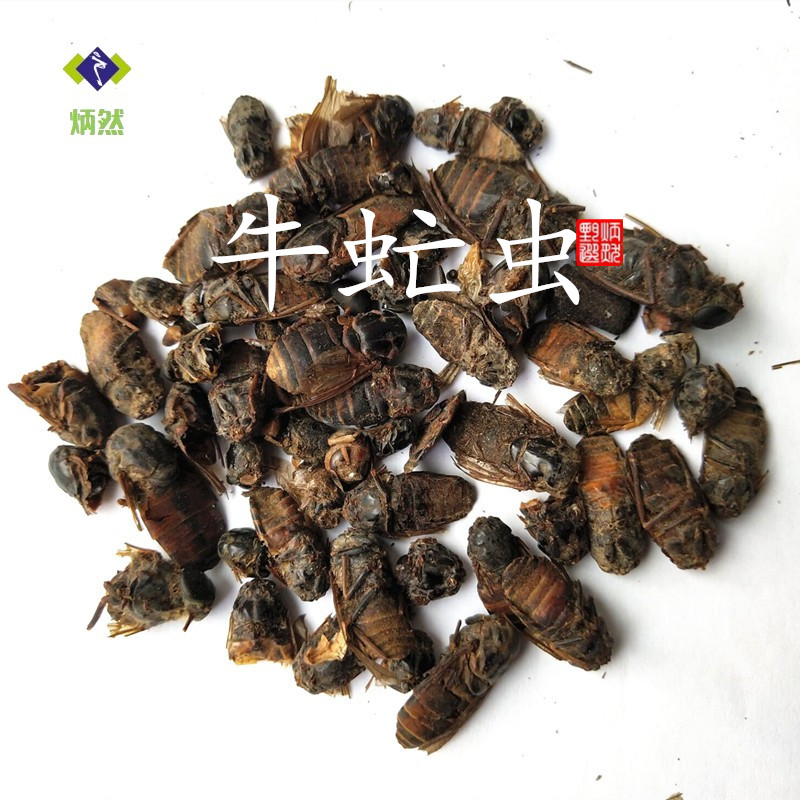 包邮 牛虻虫100克 蜚虻 牛虻 牛蚊子 牛苍蝇 瞎虻虫 牛虻干中药材