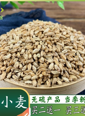 浮小麦500克浮水麦浮麦瘪小麦中药材汗另有甘草大枣茶