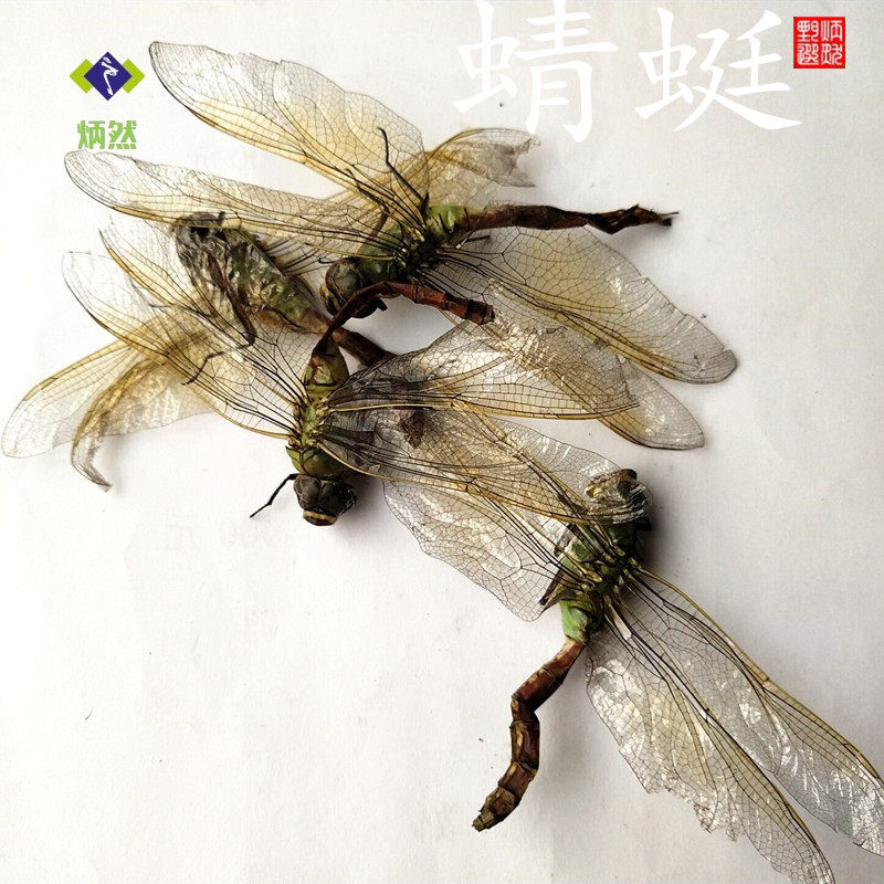 包邮 蜻蜓5只 负劳 蜻蛉 胡喇 马大头 蜻虰 青娘子 蝍蛉 中药材