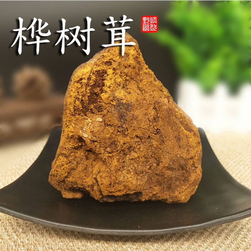 桦树茸非俄罗斯泪白桦褐孔菌茶芝菌桑黄500g中药材