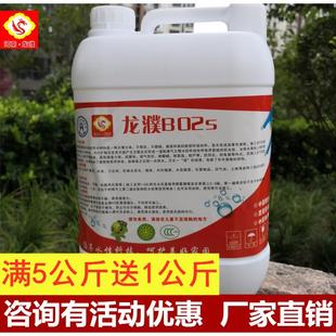 龙濮B02纳米渗透防水剂屋顶外墙混凝土水泥红砖瓦房防水防渗防