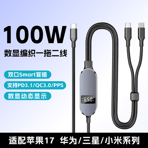 100W数显编制一拖二大功率数显线