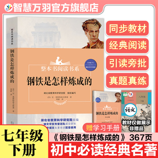 七年级下册必读钢铁是怎样炼成的整本书阅读系长江文艺出版社湖北省教育科学研究院编组