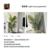 仿真花假花摆设客厅装 饰花摆件假花树植物仿真散尾葵仿生绿植盆栽
