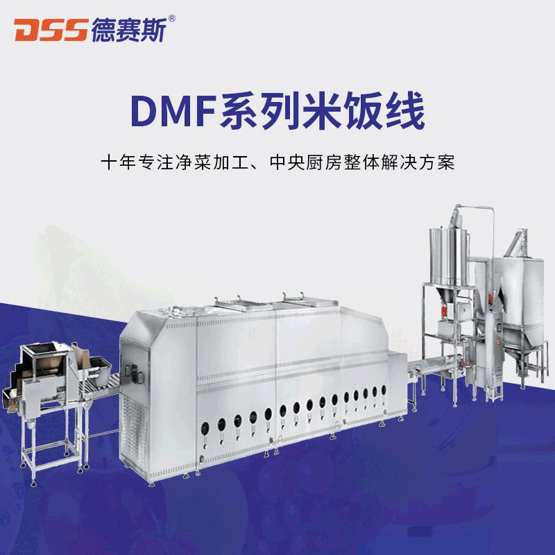 德赛斯供应中餐快餐设备全自动米饭线