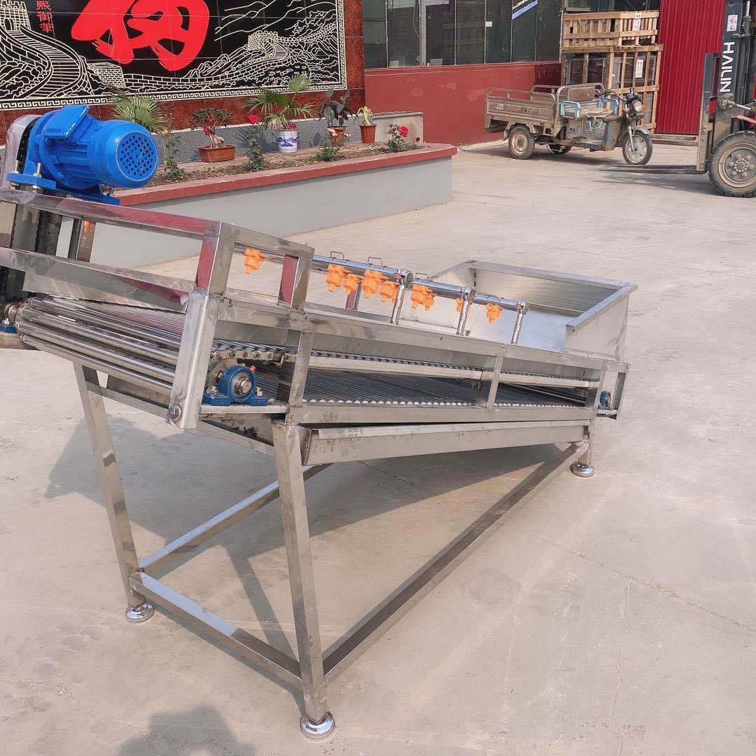 果蔬海产品物料提升输送机可制作喷淋果蔬加工设备