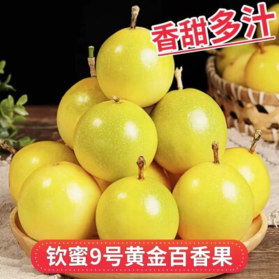 【粉丝直播福利】纯香黄金百香果钦蜜9号-广西新鲜水果当天摘VC爆