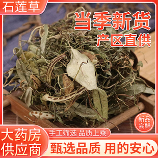 抱石莲500g克中药材正品宝石连抱树莲瓜子菜鱼鳖金星泡茶水喝