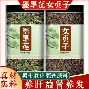 女贞子和旱莲草二至丸中药材正品墨旱莲茶包的功效与作用新鲜泡水