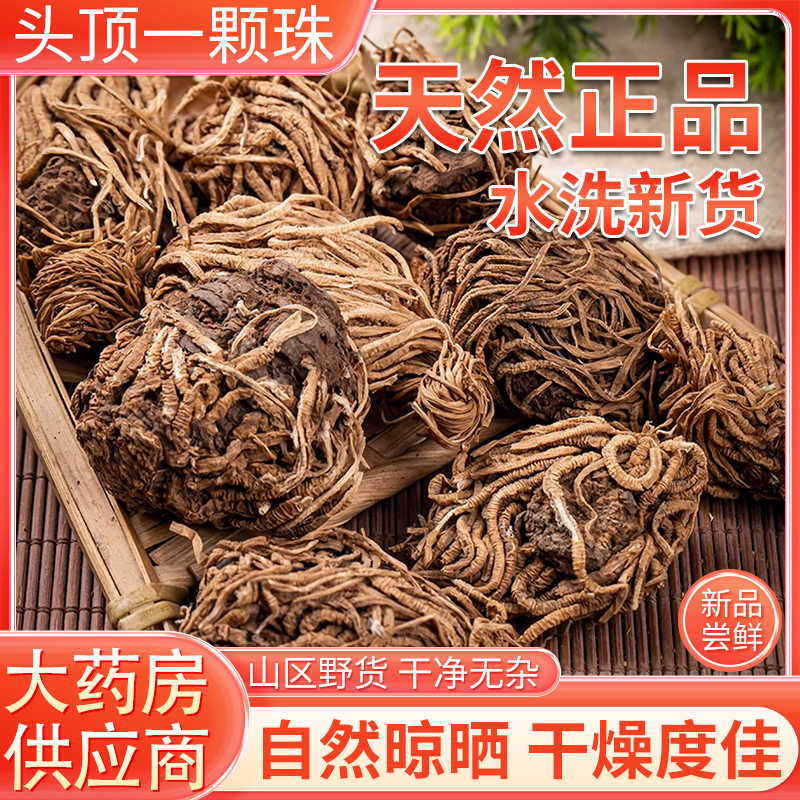 头顶一颗珠中药材 芋儿七 蛇头草 蜂斗菜 狮儿七 玉儿七 佛手七