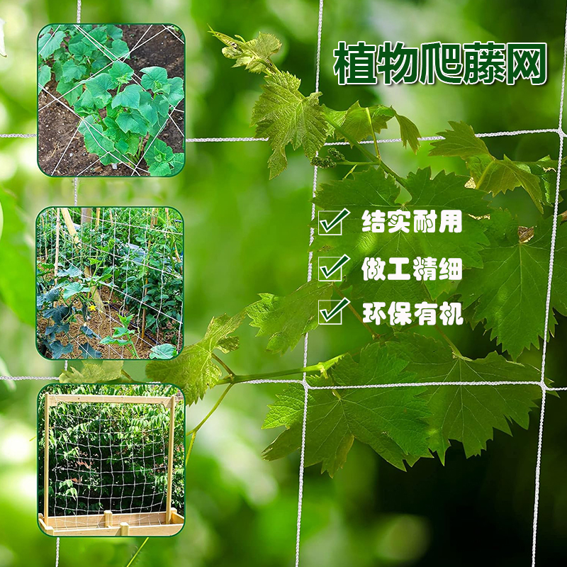 植物爬藤网丝瓜攀爬网园艺搭架网花卉爬腾网爬藤花架黄瓜爬藤架网