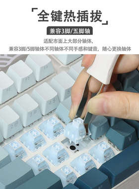 RK87机械键盘微尘侧刻渐变PBT键帽红茶青轴客制化全键热插拔RGB光