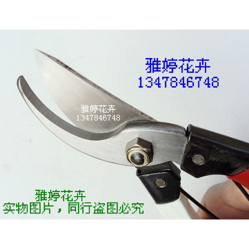 。园艺剪E-A6剪枝剪/修枝剪/剪定剪/花剪刀/果树剪刀/花剪子绿篱