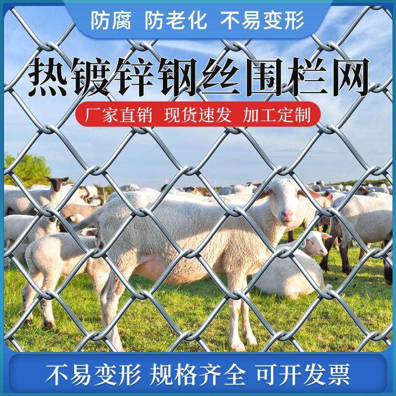 热镀锌铁丝网围栏圈牛羊防护养殖钢丝勾花网养鸡狗果园隔离护栏网,宠物/宠物食品及用品,宠物推车,淘宝优惠券,粉丝福利购,淘宝优惠卷