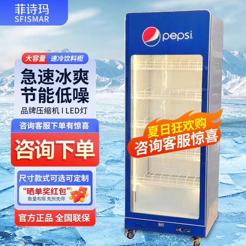 啤酒展示柜网红酒水柜饮料柜冷藏立式冷冻大单门双门酒吧商用冷柜
