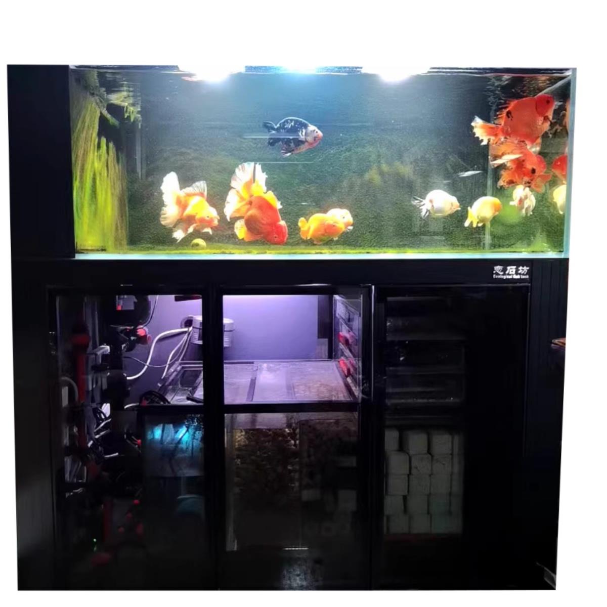 恋石坊新款金鱼缸兰寿泰狮缸鱼便分离大底滤静音设计工厂直销定制