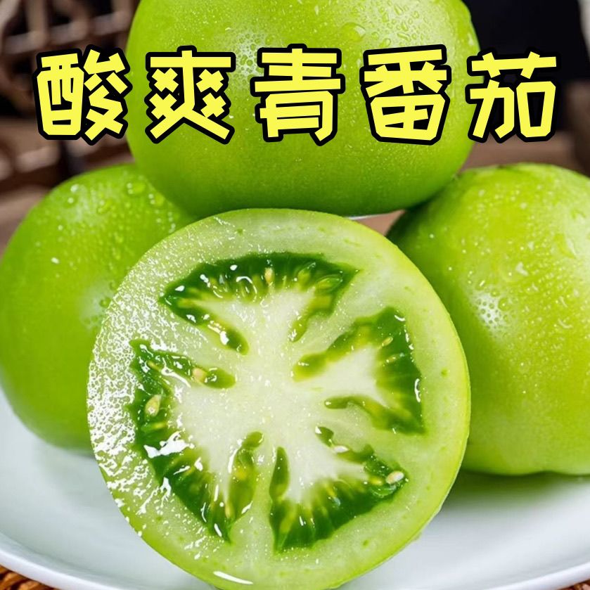 未成熟西红柿生番茄炒辣椒绿色西红柿蔬菜酸辣口味菜青番茄
