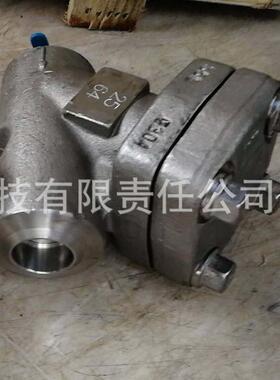 GL61W-64P/RL不锈钢Y型焊接过滤器对焊/承插焊F304/F316L材质