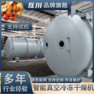 巧克力涂层糖果真空冻干机 食品国外真空冷冻干燥机 真空冻干设备