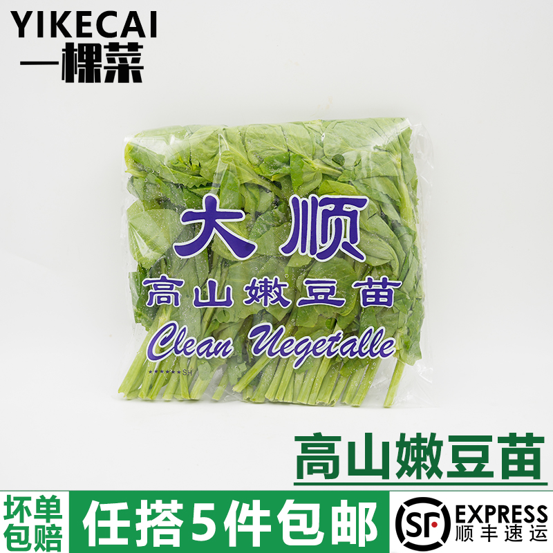 高山嫩豆苗150g/包清炒酒店料理