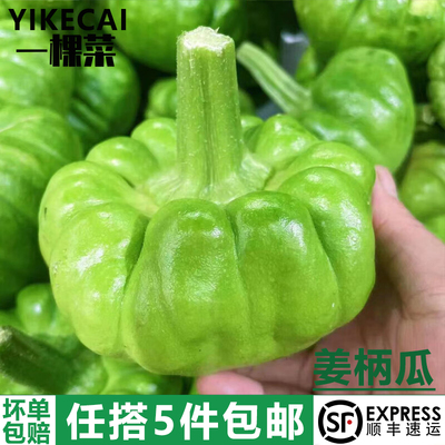 云南小麦瓜嫩南瓜小绿瓜