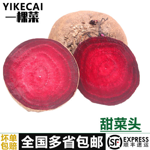 甜根菜甜菜头蔬菜榨汁摆盘装饰