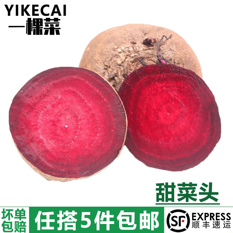 甜菜头500g大头菜西餐摆盘红菜头