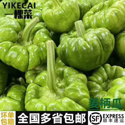 云南小麦瓜嫩南瓜小绿瓜