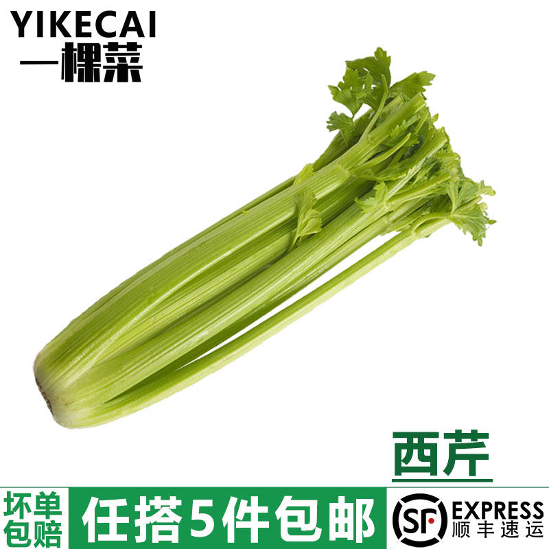 【YIKECAI】西芹1000g 新鲜蔬菜大芹菜洋芹菜 西餐配菜 榨汁蔬菜
