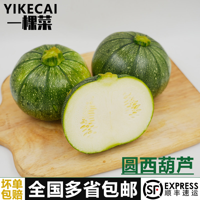 圆形西葫芦2斤-5斤 新鲜蔬菜短蔓嫩南瓜倭瓜绿皮青瓜地雷瓜蘸水菜