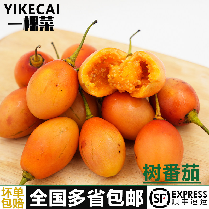 大树番茄250g-2500g新鲜洋酸茄鸡蛋果缅茄傣味树酸茄凉拌水果蔬菜
