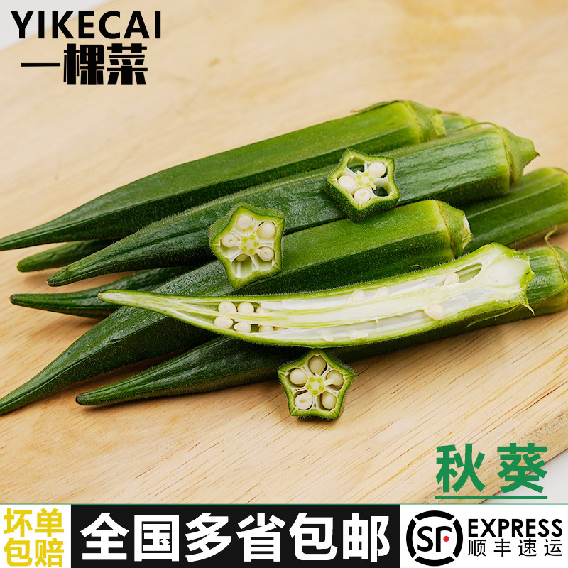 【YIKECAI】秋葵500-2500g 新鲜黄秋葵 六角羊角豆洋辣椒顺丰包邮