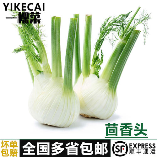 【YIKECAI】茴香头1-5斤